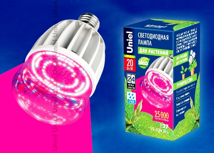 Uniel Лампа LED-M80-20W/SP/E27/CL (для растений)