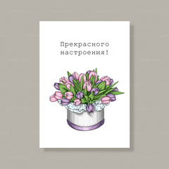 Открытка Д36 (10 шт.) 7 х 10 см
