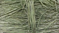 Канитель глянцевая светло-оливковый 1 мм