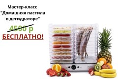 Сушилка (дегидратор) Gochu D-310