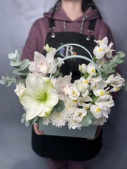 ONLINE витрина композиция №6