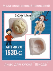 1530-С Молд силиконовый 