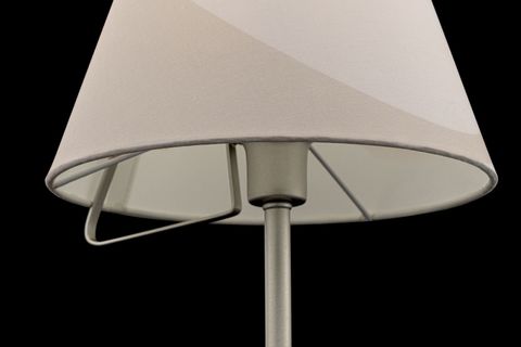 Настольная лампа Freya Vanessa FR5084TL-01G