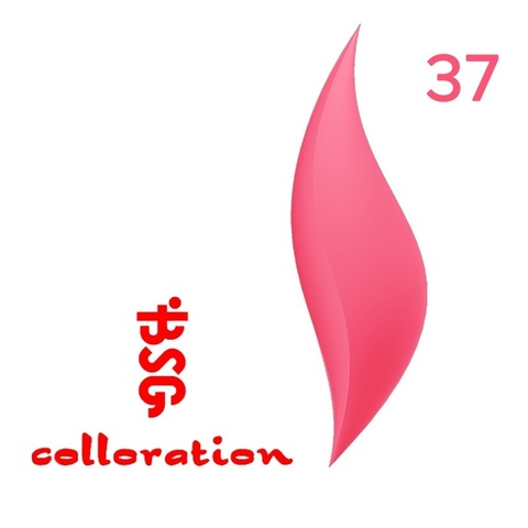 BSG Colloration, №37 Ярко-розовый купить за 650 руб