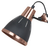 Настольная лампа Arte Lamp Pixar A2246LT-1BK