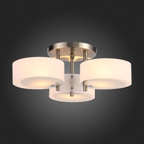 Светильник потолочный Evoluce Foresta SL483.352.03