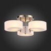 Светильник потолочный Evoluce Foresta SL483.352.03