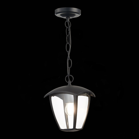 Светильник уличный подвесной ST Luce Sivino SL081.403.01