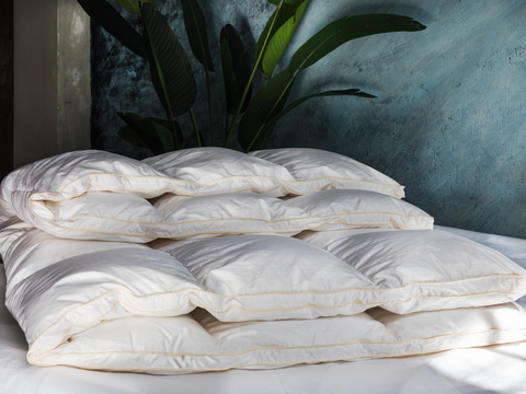 Одеяло пуховое всесезонное 220х240 German Grass Queen Down Grass