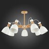 Люстра потолочная Evoluce Balcamo SLE103802-07
