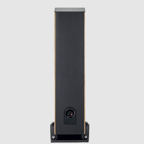 Focal Aria Evo X N4