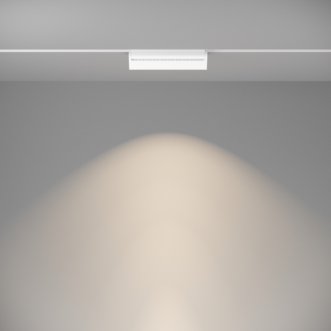 Магнитный трековый светильник Maytoni BASIS TR013-2-20W4K-W