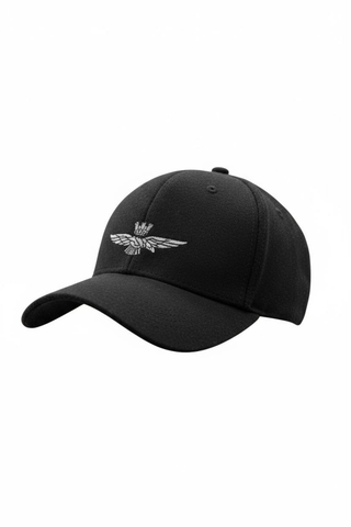 Кепка Aeronautica 227897blzima