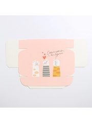 Коробка самосборная одиночная Прямоугольник, «Лапки», 21*15*5 см