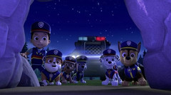 Щенячий патруль: Мега-щенки спасают Бухту Приключений (Nintendo Switch, русская версия)