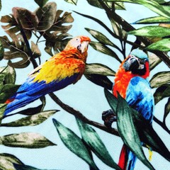 Фото кади с птицами бирюзового цвета