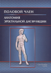 Половой член. Анатомия эректильной дисфункции