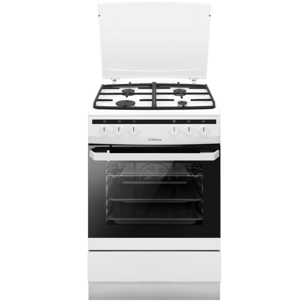

Комбинированная плита Hansa FCMW680250