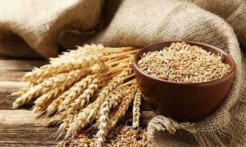 Протеины пшеницы 30гр