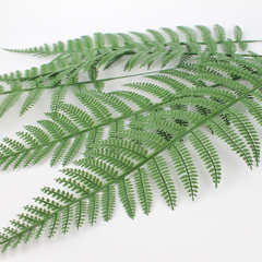 Папоротник, зелень искусственная, 56 см., набор 10 веток.