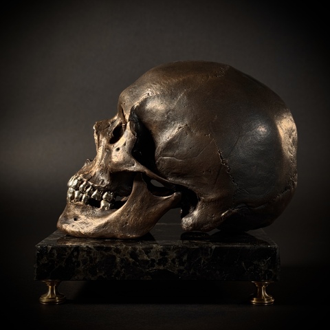 Череп человека из бронзы