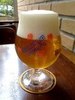 Пиво Delirium Tremens драфт