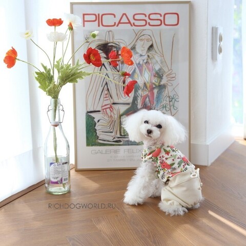5179 BH Костюм для собак "Big Flower Pants"