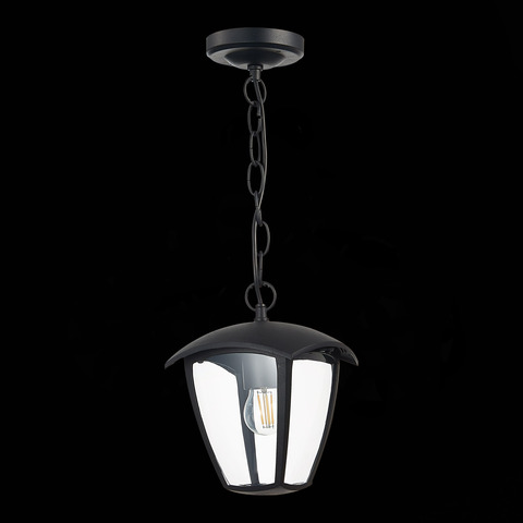 Светильник уличный подвесной ST Luce Sivino SL081.403.01