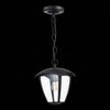 Светильник уличный подвесной ST Luce Sivino SL081.403.01