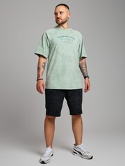 Фуфайка (футболка) мужская Сидней-5 Виотекс ФИСТАШКОВЫЙ