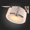 Светильник потолочный Evoluce Foresta SL483.352.03