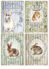 0115 Пленочный трансфер ProArt