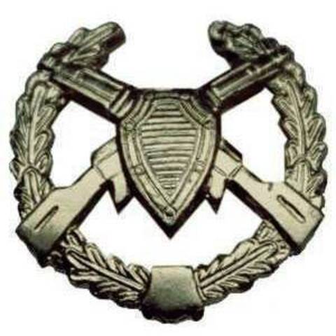 Эмблема петличная ПВ старого образца металл полевая