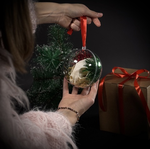 Ёлочный шар