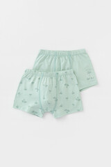 трусы/ уп  для мальчика  К 1912-2уп/голубая дымка,пальмы