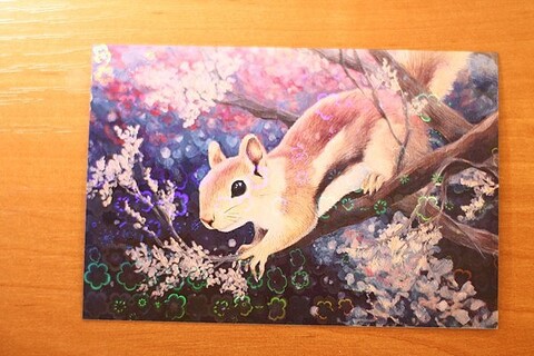 Любопытная белочка