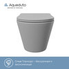 Aqueduto CONT2130 AQD CONE Tornado Унитаз подвесной 525*360 безободковый, Tornado, сиденье с микролифтом, серый матовый