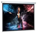 Экран Cactus 180x180см Wallscreen CS-PSW-180x180 1:1 настенно-потолочный рулонный белый
