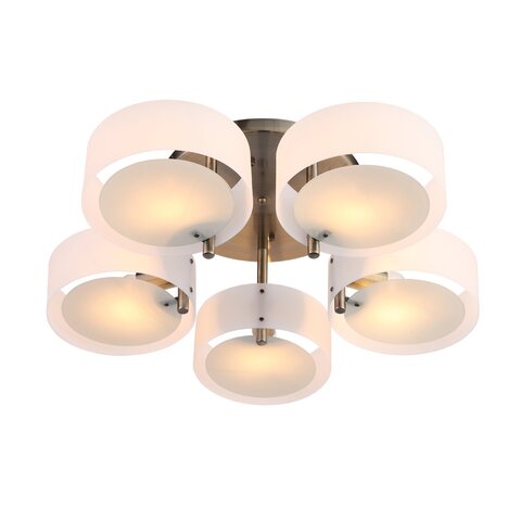 Светильник потолочный Evoluce Foresta SL483.352.05