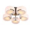Светильник потолочный Evoluce Foresta SL483.352.05