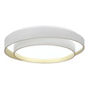 Светильник потолочный Evoluce Crosby SLE6009-502-01