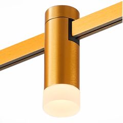 Светильник встраиваемый трековый, золотистый, белый, FARM, LED, 3