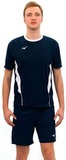 Футболка Mizuno Authentic High Kyu Tee мужская
