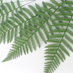 Папоротник, зелень искусственная, 56 см., набор 10 веток.