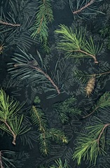 Ткань "АЛОВА" с мембранным водоотталкивающим покрытием, 160 гр/м2