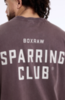 Футболка Boxraw Sparring Club Коричневый