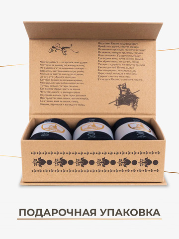 Подарочный набор Правильных носков ВЗЯТИЕ КАЗАНИ (3 пары)