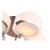 Светильник потолочный Evoluce Foresta SL483.352.05