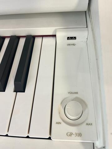 CASIO GP310