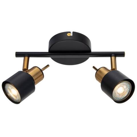 Настенно-потолочный светильник Arte Lamp ALMACH A1906PL-2BK